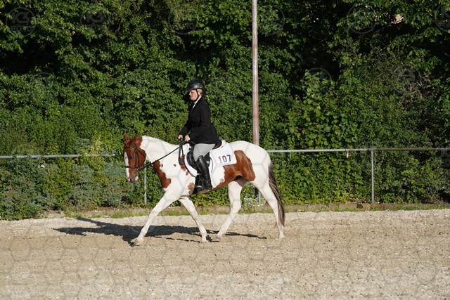 sA9K05991.JPG